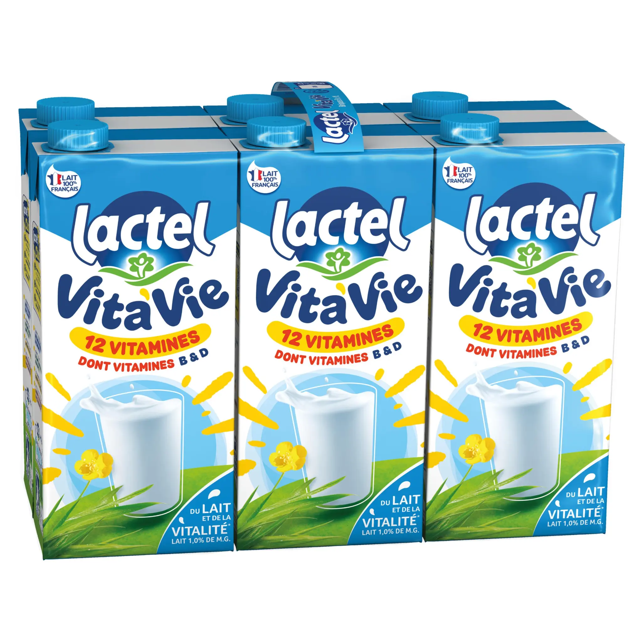 LACTEL Vita'Vie Lait 12 vitamines