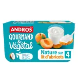 ANDROS Gourmand et végétal Brassé nature au lait de coco sur lit d'abricot
