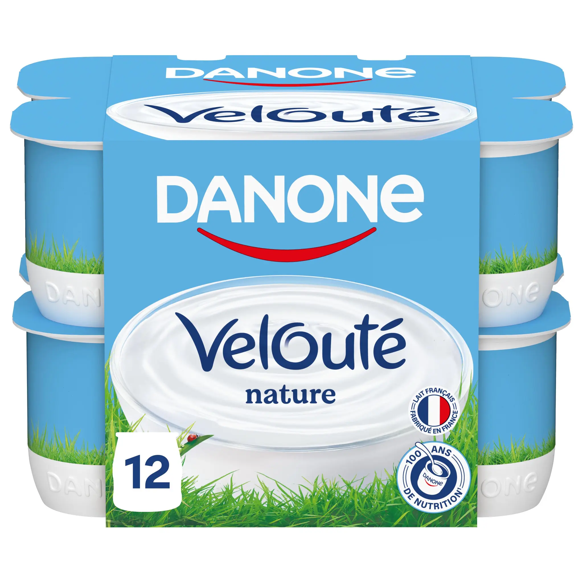 DANONE Velouté Yaourt brassé nature
