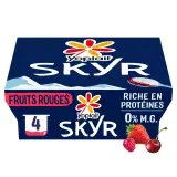 YOPLAIT Skyr sur lit de fruits rouges 0% recette islandaise