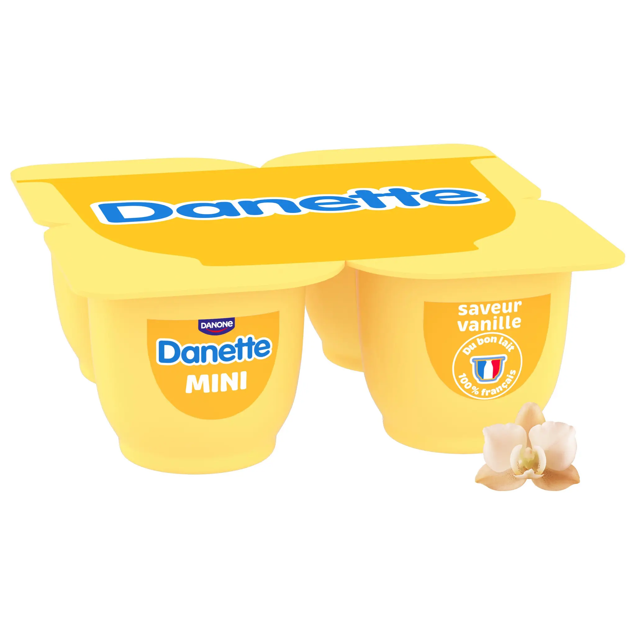 DANETTE MINI Crème dessert saveur vanille