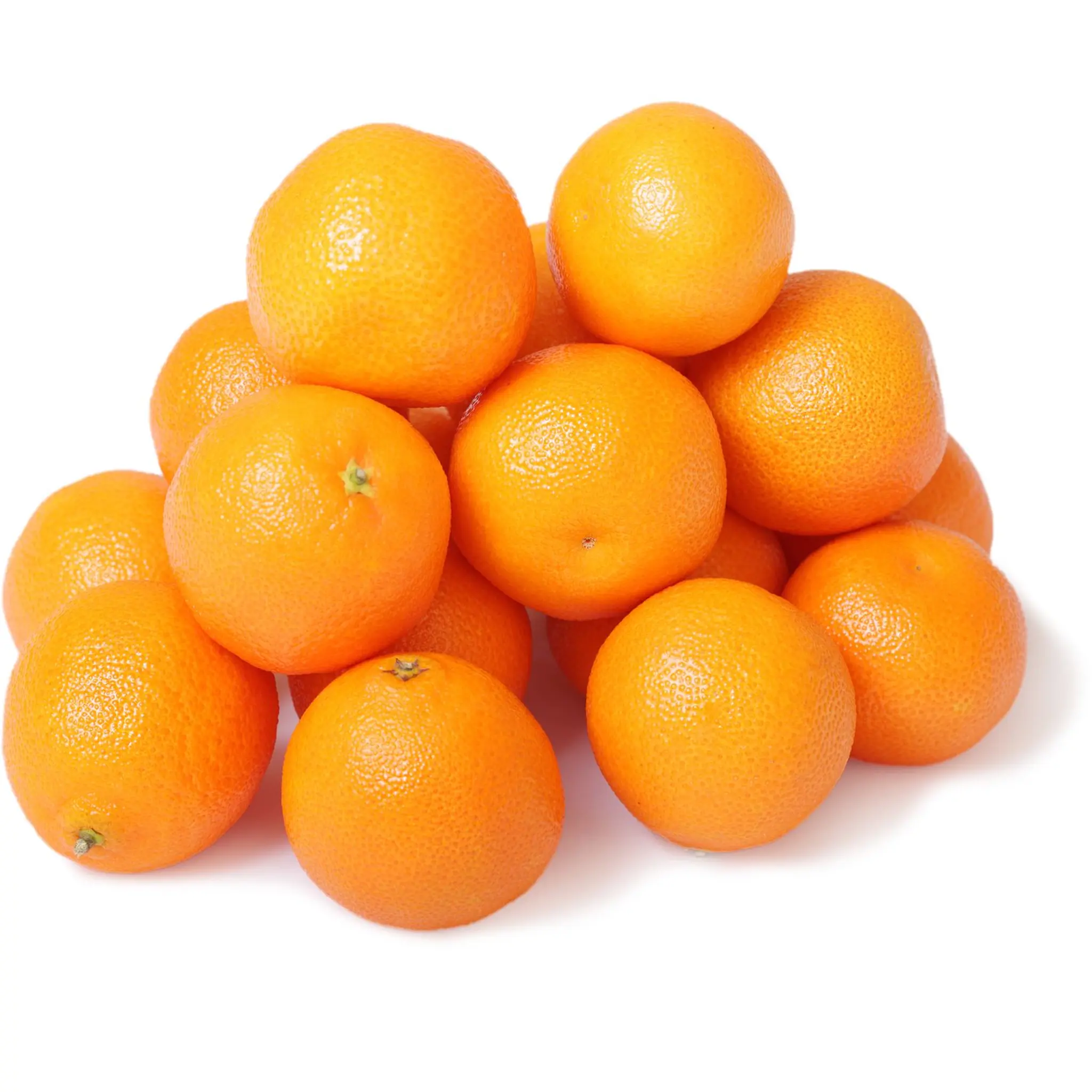 CULTIVONS LE BON Oranges à jus
