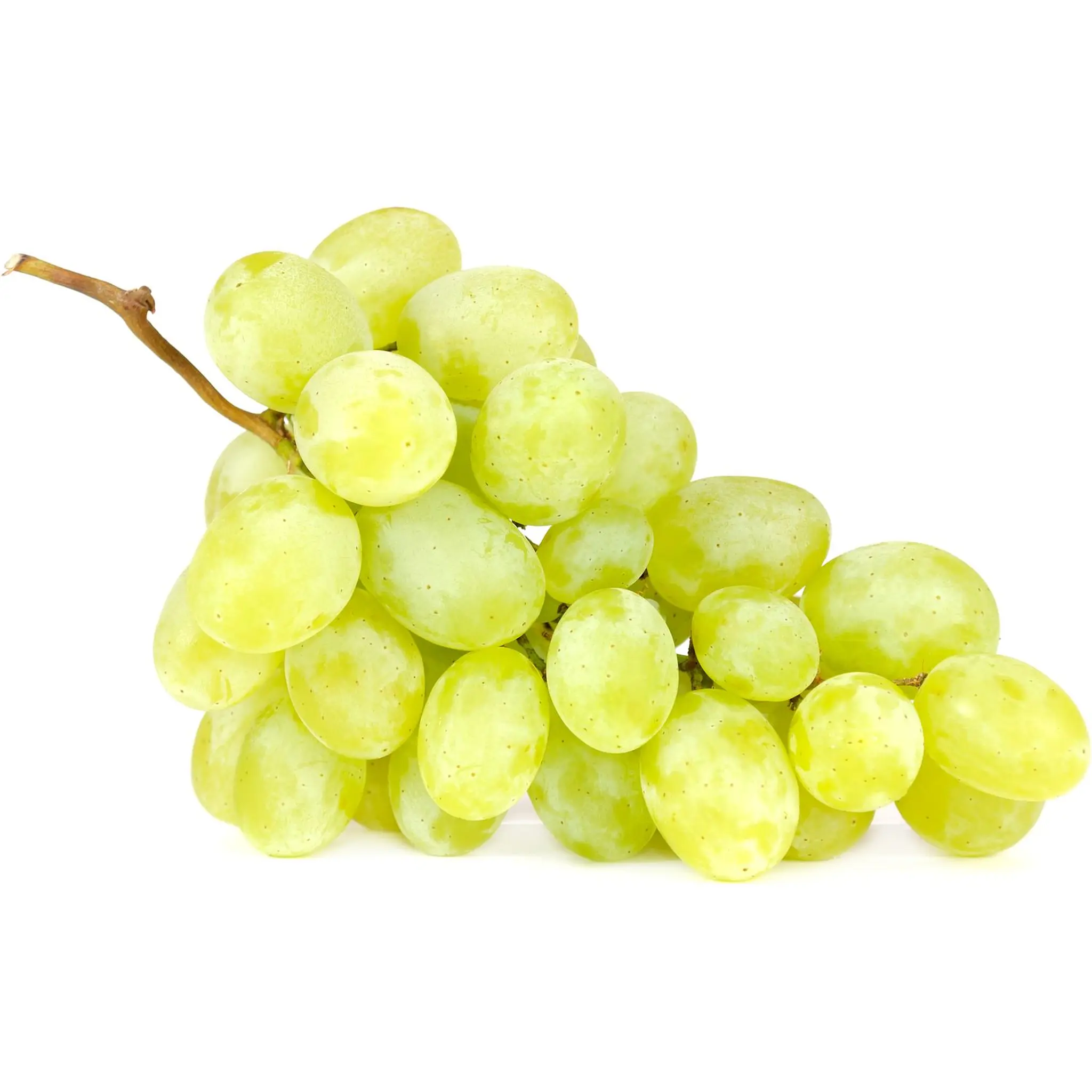 Raisins blancs bio