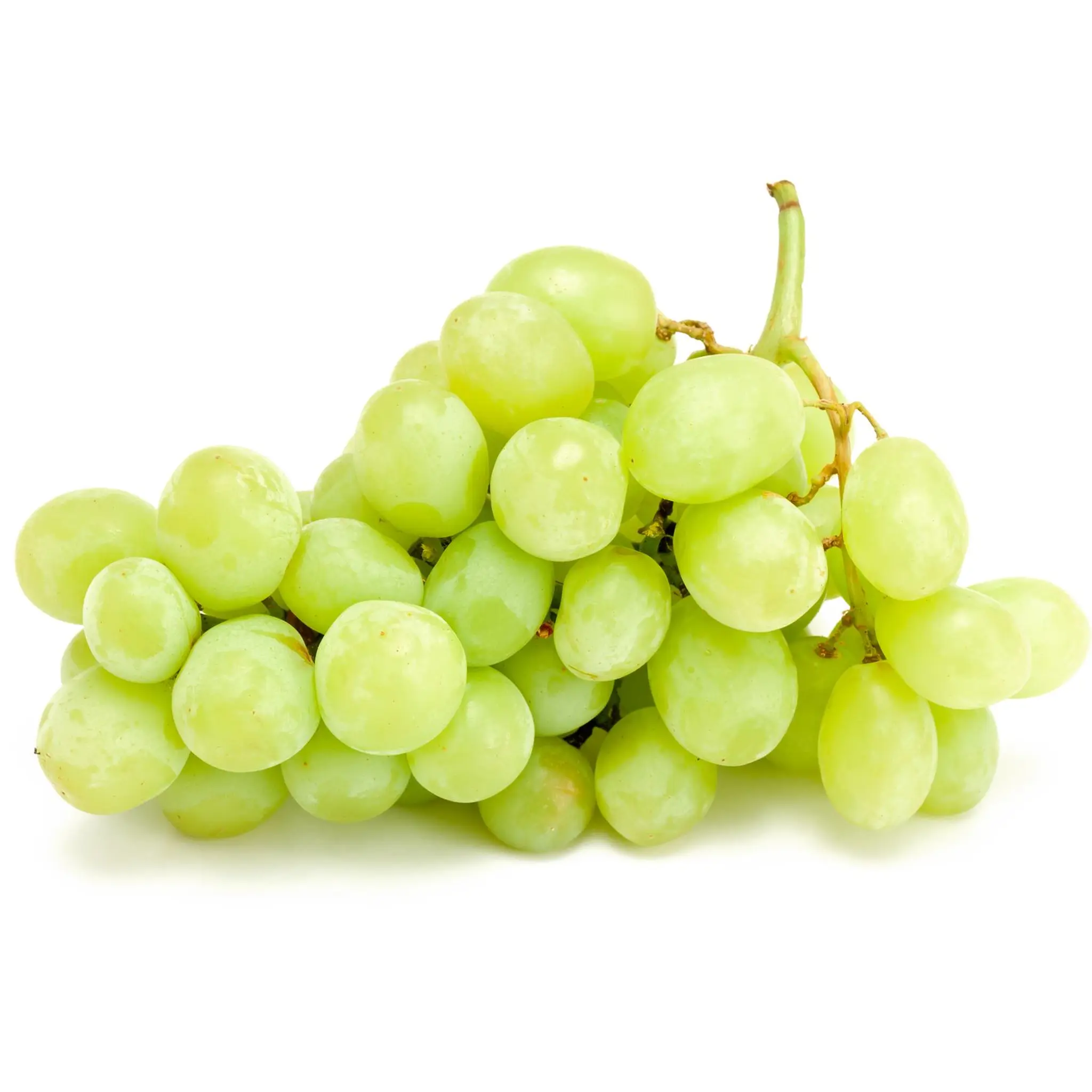 Raisin blanc sans pépins bio