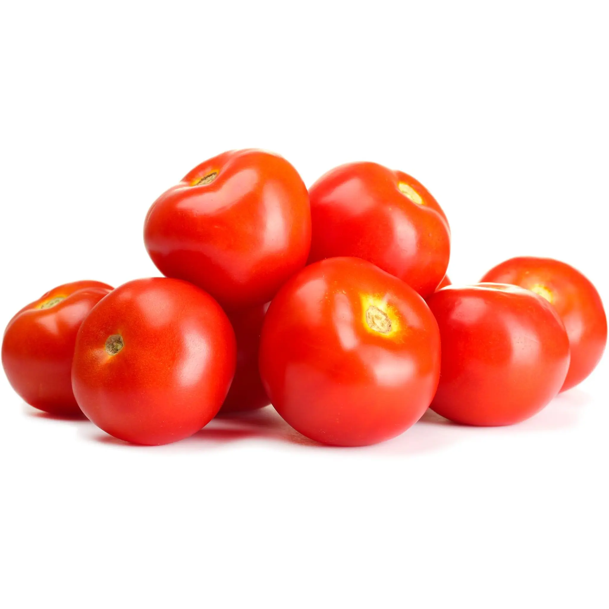 Tomates rondes prix bas