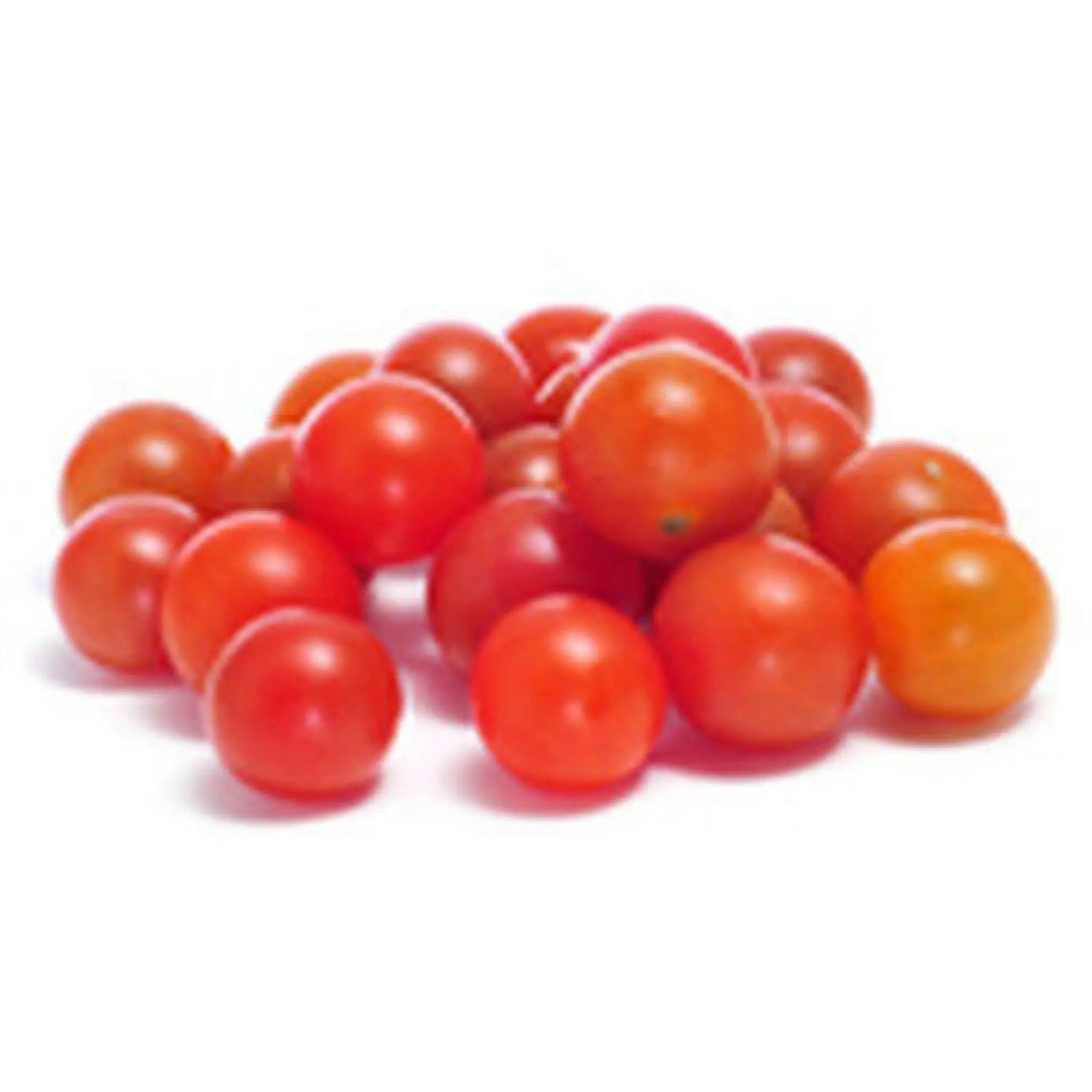 Tomates cerises rouges