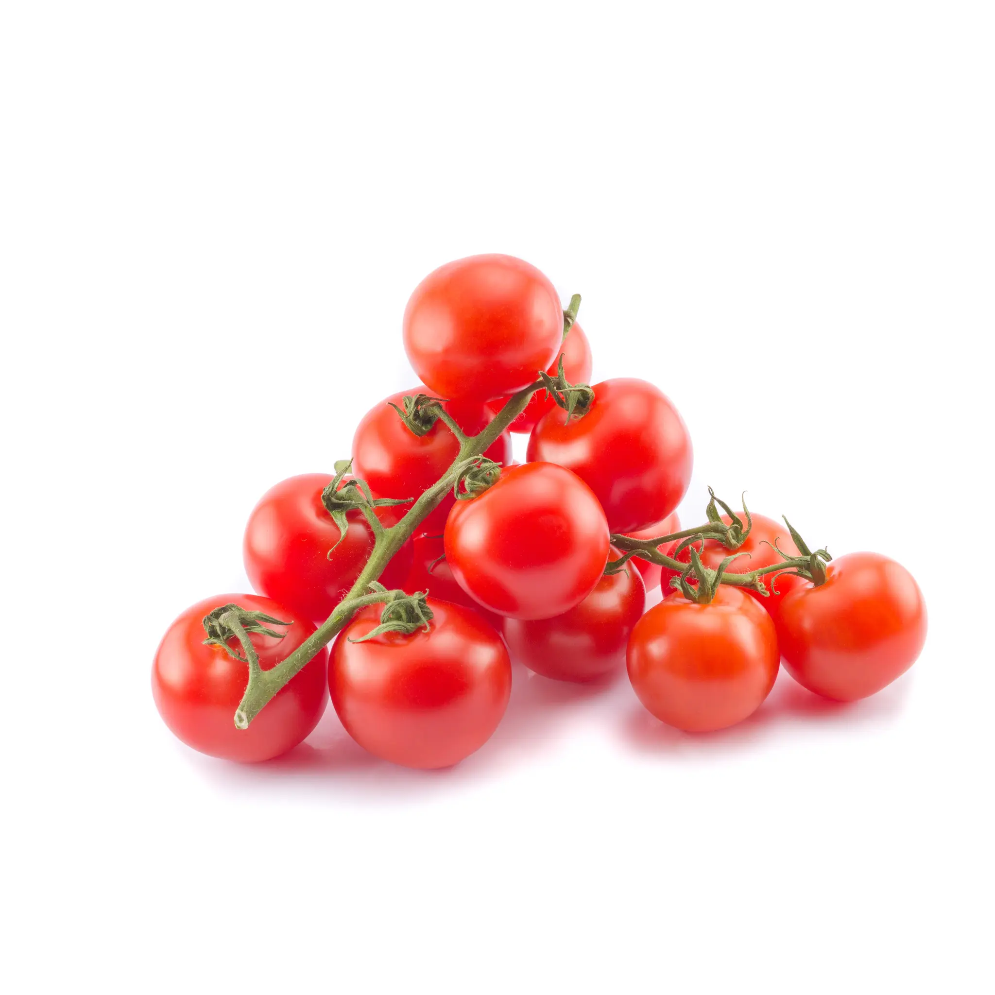 Tomates cocktail en grappes