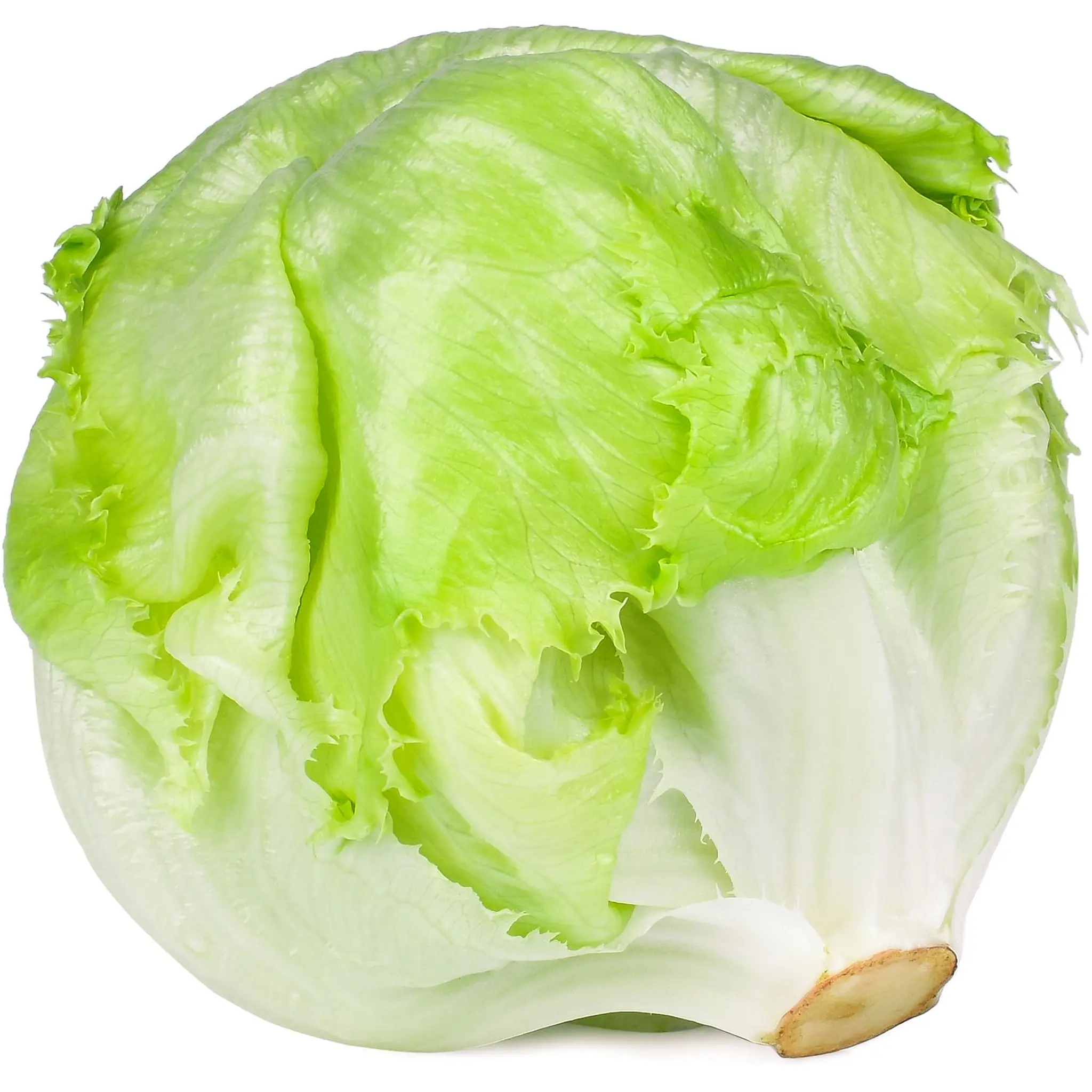 Salade iceberg