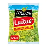 FLORETTE Laitue format familial