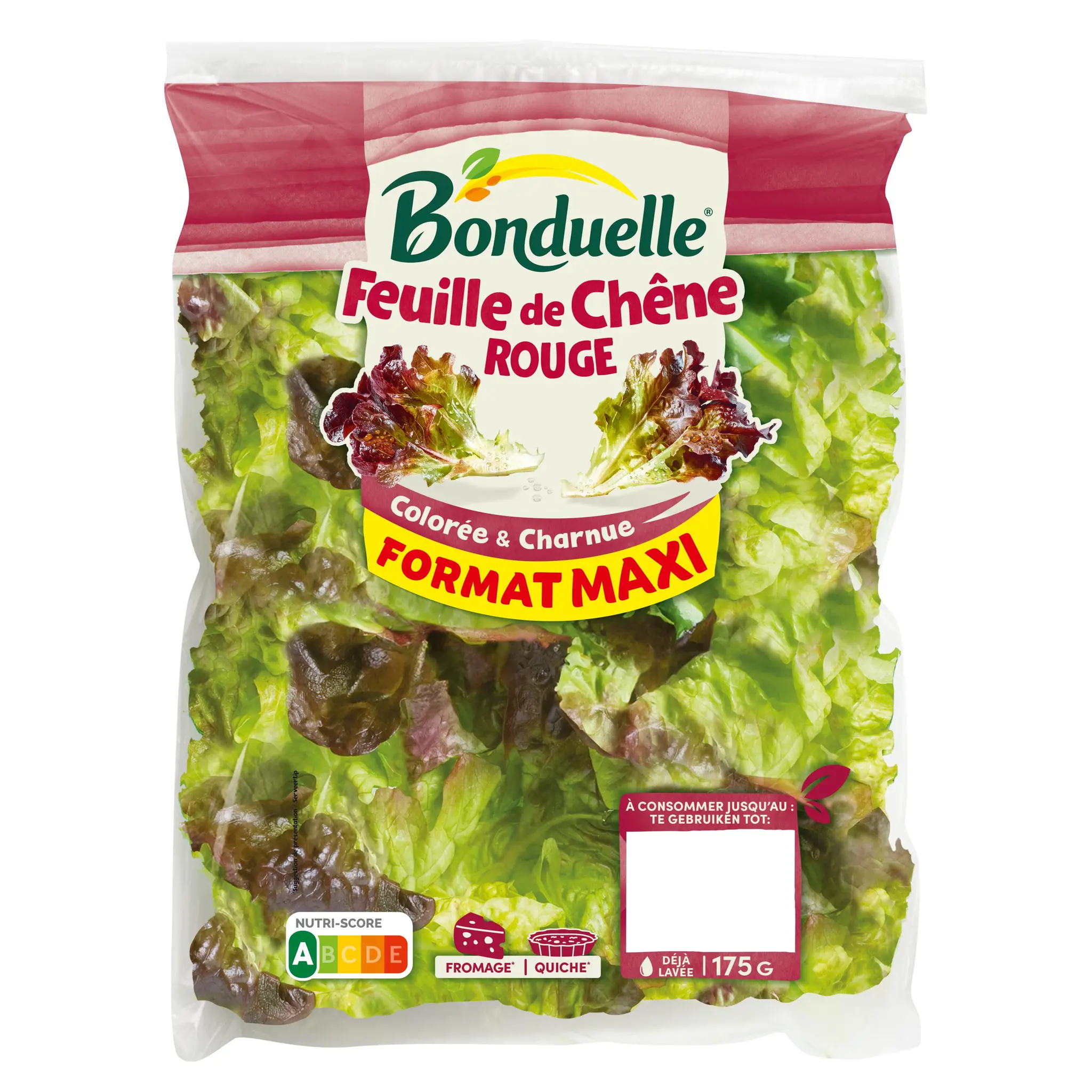 BONDUELLE Feuille de chêne rouge
