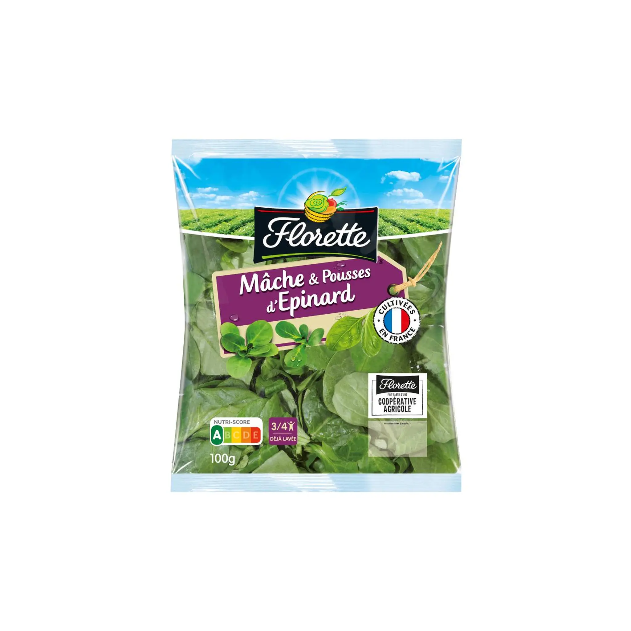 FLORETTE Mâche et pousses d'épinard