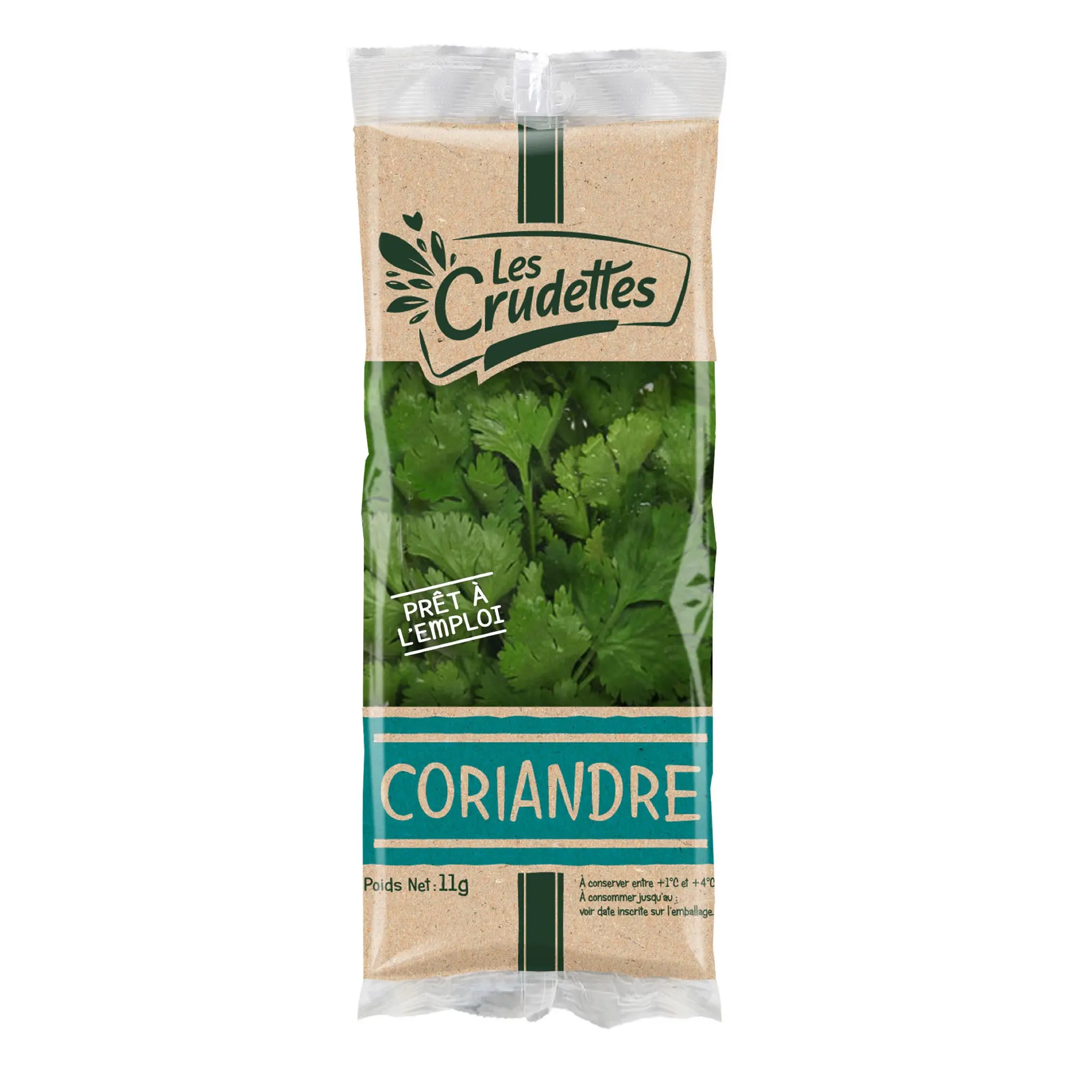 LES CRUDETTES Coriandre