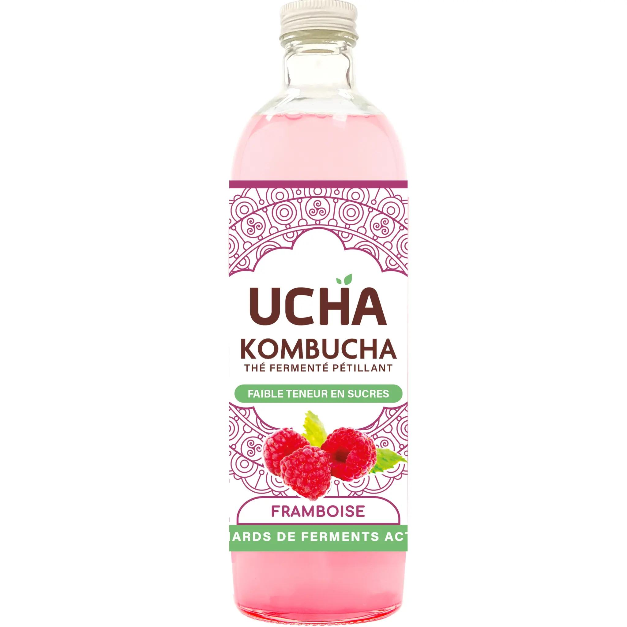 UCHA Kombucha thé fermenté pétillant bio framboise faible teneur en sucres