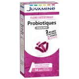 JUVAMINE Complément Probiotiques flore intestinale en sticks