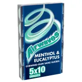 AIRWAVES Chewing-gums sans sucres eucalyptus menthol