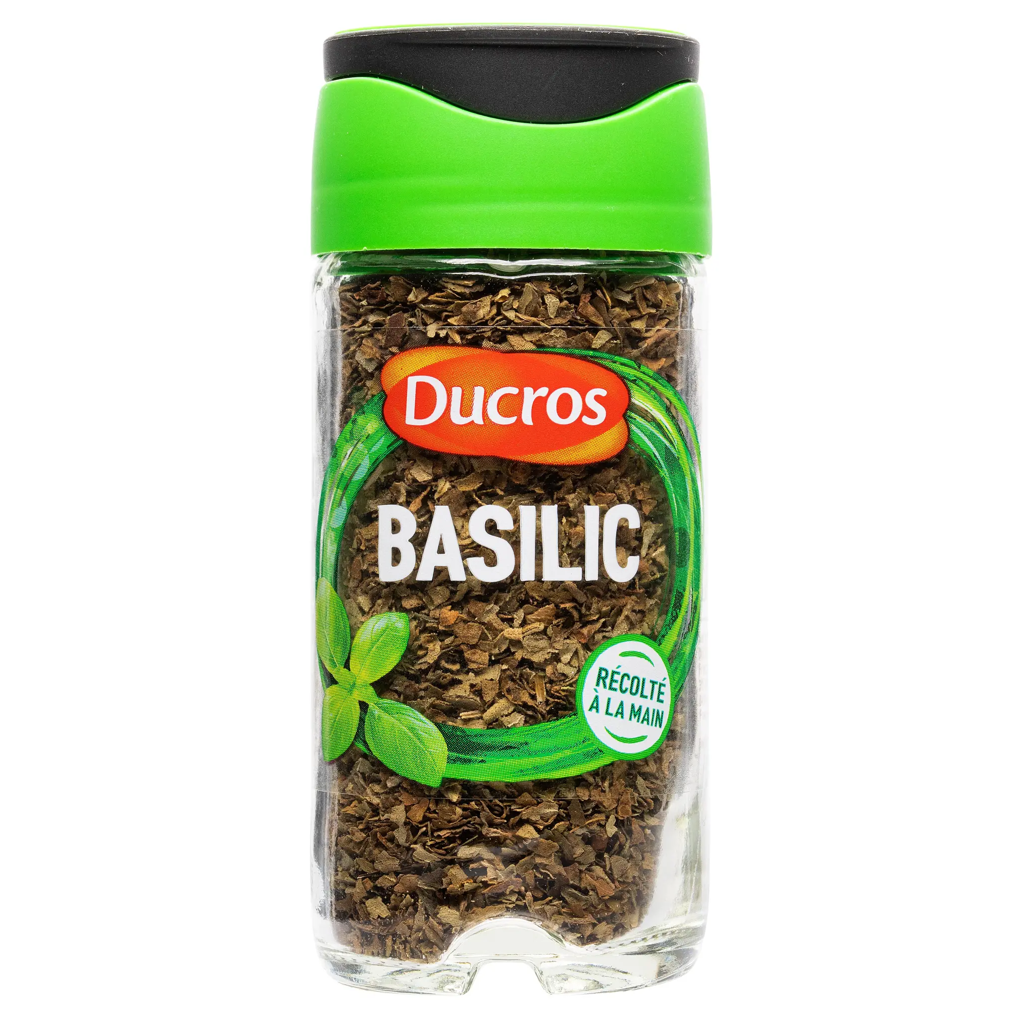 DUCROS Basilic