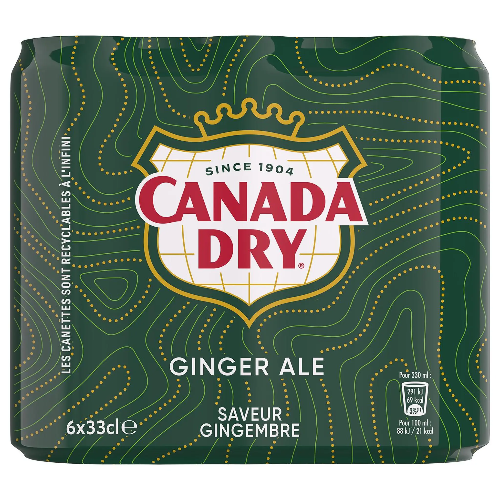 CANADA DRY Boisson gazeuse Gingembre Ginger Ale boîtes