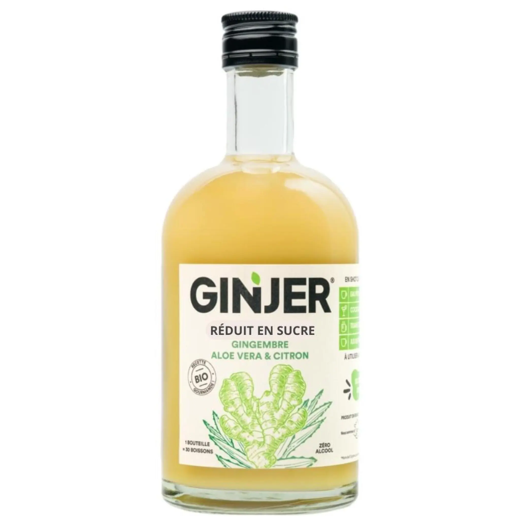 GINJER Boisson concentrée bio gingembre aloe vera & citron sans alcool