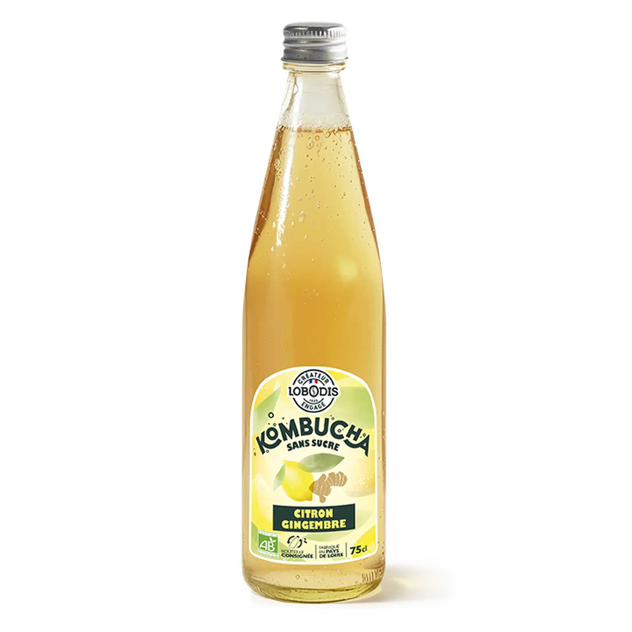 LOBODIS Kombucha saveur citron gingembre bio