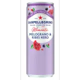 SAN PELLEGRINO Eau minérale pétillante Momenti saveur grenade et cassis