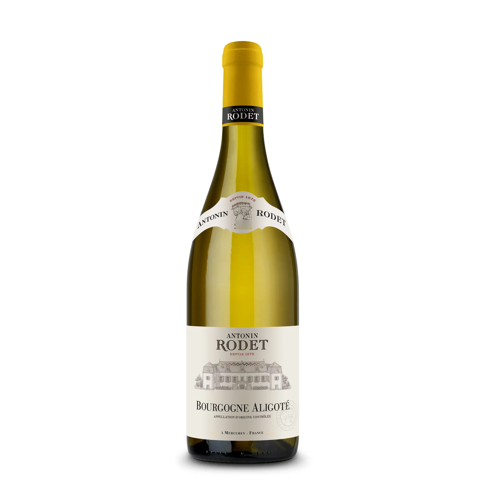 AOP Bourgogne aligoté blanc