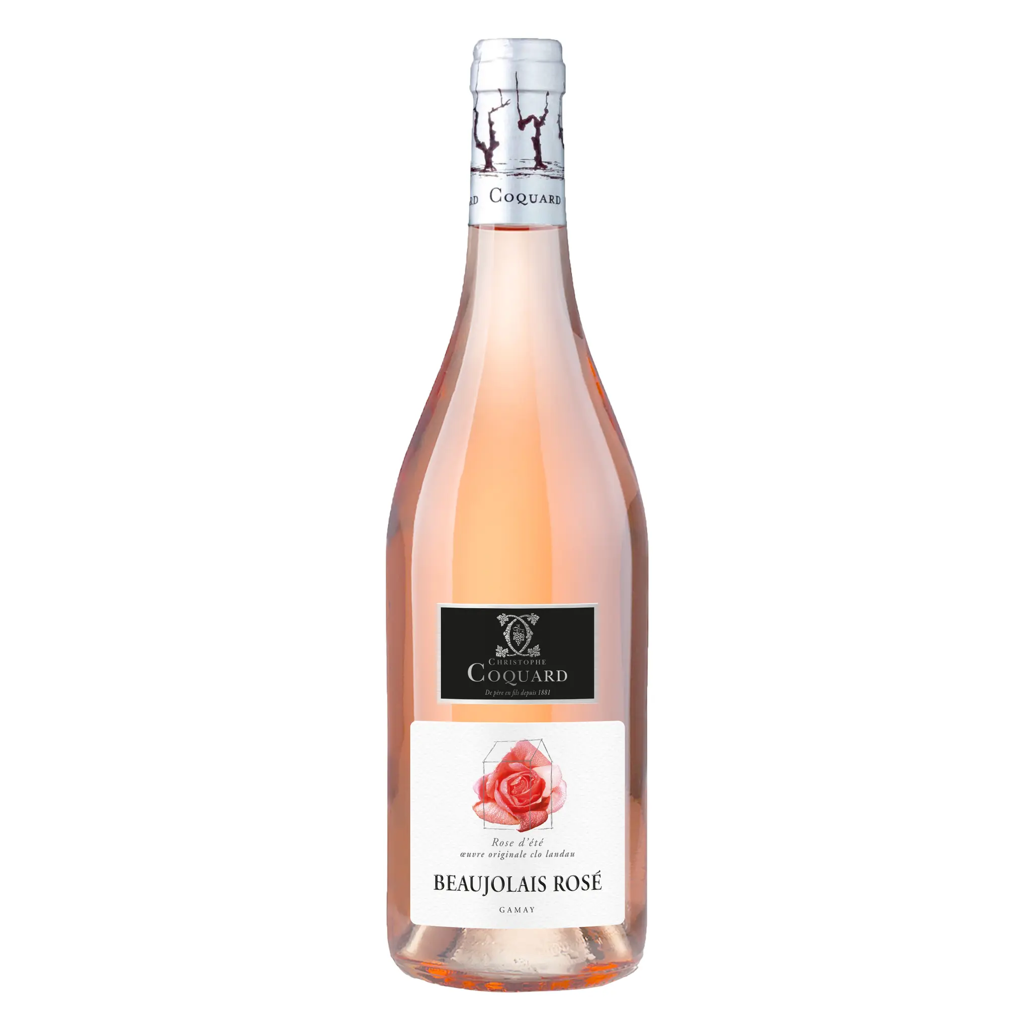 AOP Beaujolais Rose d'été Christophe Coquard rosé