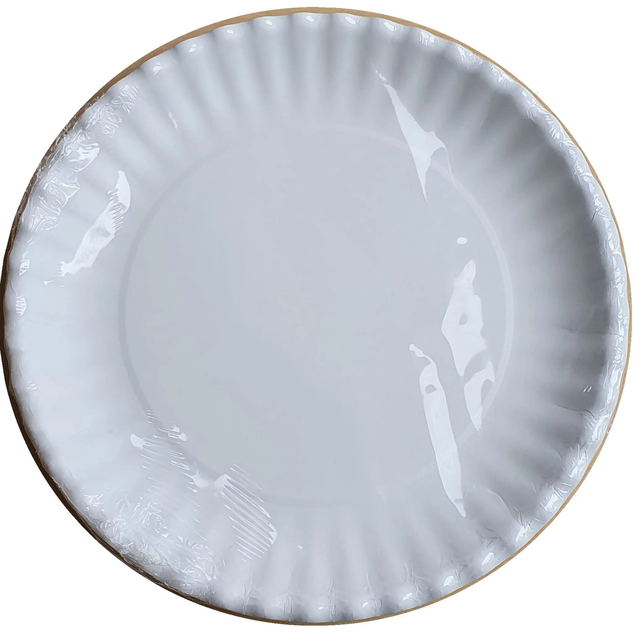 Assiette en carton 23cm x20