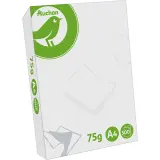 Ramette de papier A4 21x29,7 500 feuilles 75g