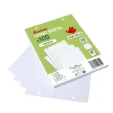 AUCHAN Lot de 100 fiches bristol 14,8x21cm petits carreaux 5x5 perforées