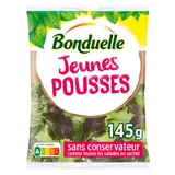 Bonduelle Jeunes pousses de batavia laitue rouge et laitue verte 145g