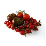 Natoora Mélange Tomates de Saison - 500g