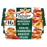 Yoplait Yaourt Aux Fruits 16x125g