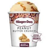 Haagen-Dazs Pot Peanut Butter Crunch Prem 400g