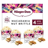 Haagen-Dazs Minipot Macadamia Prem 324g