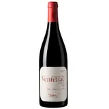 Maison Ventenac - Le P'tit Jules Languedoc Cabardès A.O.P. Rouge 2022 Bio 75CL