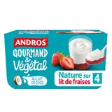 Andros Brassé Végétal Nature sur lit de Fraise au lait de Coco 4x100g