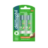Dermophil (Gms) Stick À Lèvres Réparateur Protecteur Formule Indienne 2x4g