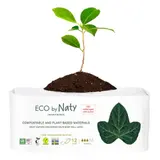 Eco By Naty Serviettes Fuites Urinaires Normal x12