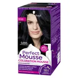 Perfect Mousse Coloration Permanente 210 Noir Glacé 35ml