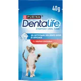 Dentalife Friandises Chat au saumon 40g