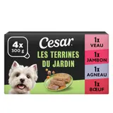 Cesar Barquettes en terrine 4 variétés pour chien 4x300g