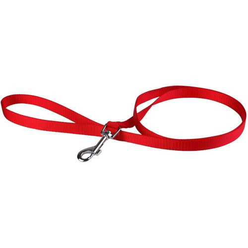 Animalis Laisse Basic 40mm et 50cm pour Chien Rouge
