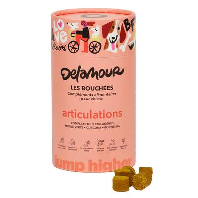 Delamour 90 Bouchées Articulation Compléments alimentaires pour chien, 270g