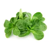 Mâche Jeune Pousse, Barquette de 150g