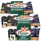 Panier de Yoplait Yaourts Mûre Myrtille, Lot de 2 - 4x125g