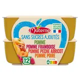 Materne Spécialités multivariétées sans sucres ajoutés, 12x100g
