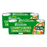 Bonduelle Champignons Emincés Epais sans sulfite et sans additif en conserve, Lot de 2 - 3x115g