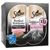 Sheba - Perfect Portions Barquettes en Terrines de Luxe Saumon MSC pour chat adulte, 6x37,5g