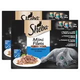 Sheba - Mini Filets Sachets en Sauce Sélection Poissons 4 Variétés pour chat, Lot de 2 -12x85g