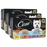César Barquettes en gelée délicate 4 variétés pour chien Senior, Lot de 3 - 4x150g